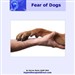 Overcome Fear of Dogs