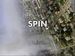 Spin