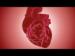 The Heart of the Matter