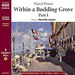 Within a Budding Grove, Part 1