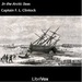In the Arctic Seas