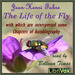The Life of the Fly