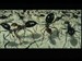 Bert Holldobler & E.O. Wilson on The Super-Organism